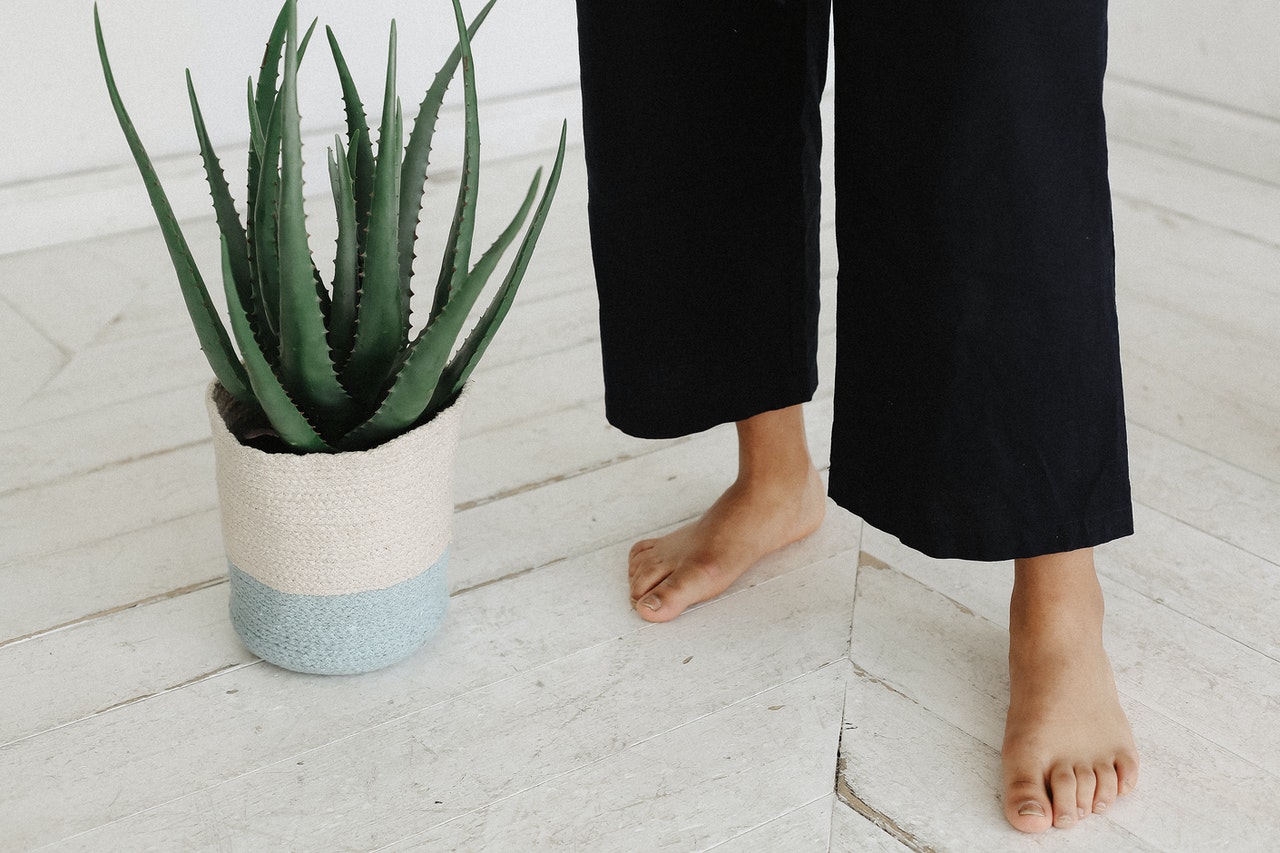Razones por las que deberías utilizar el aloe vera en tus rutinas de belleza
